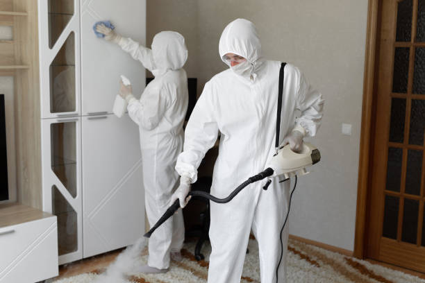 Professional Mold Removal in North Tunica, MS