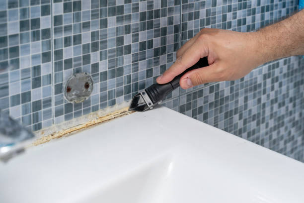 Best Home Mold Removal  in North Tunica, MS