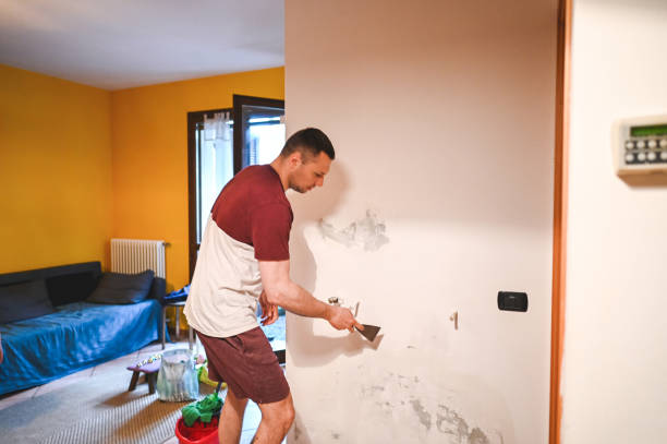 Best Black Mold Removal  in North Tunica, MS