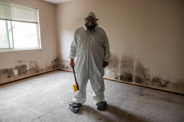 Office Mold Removal Services in North Tunica, MS